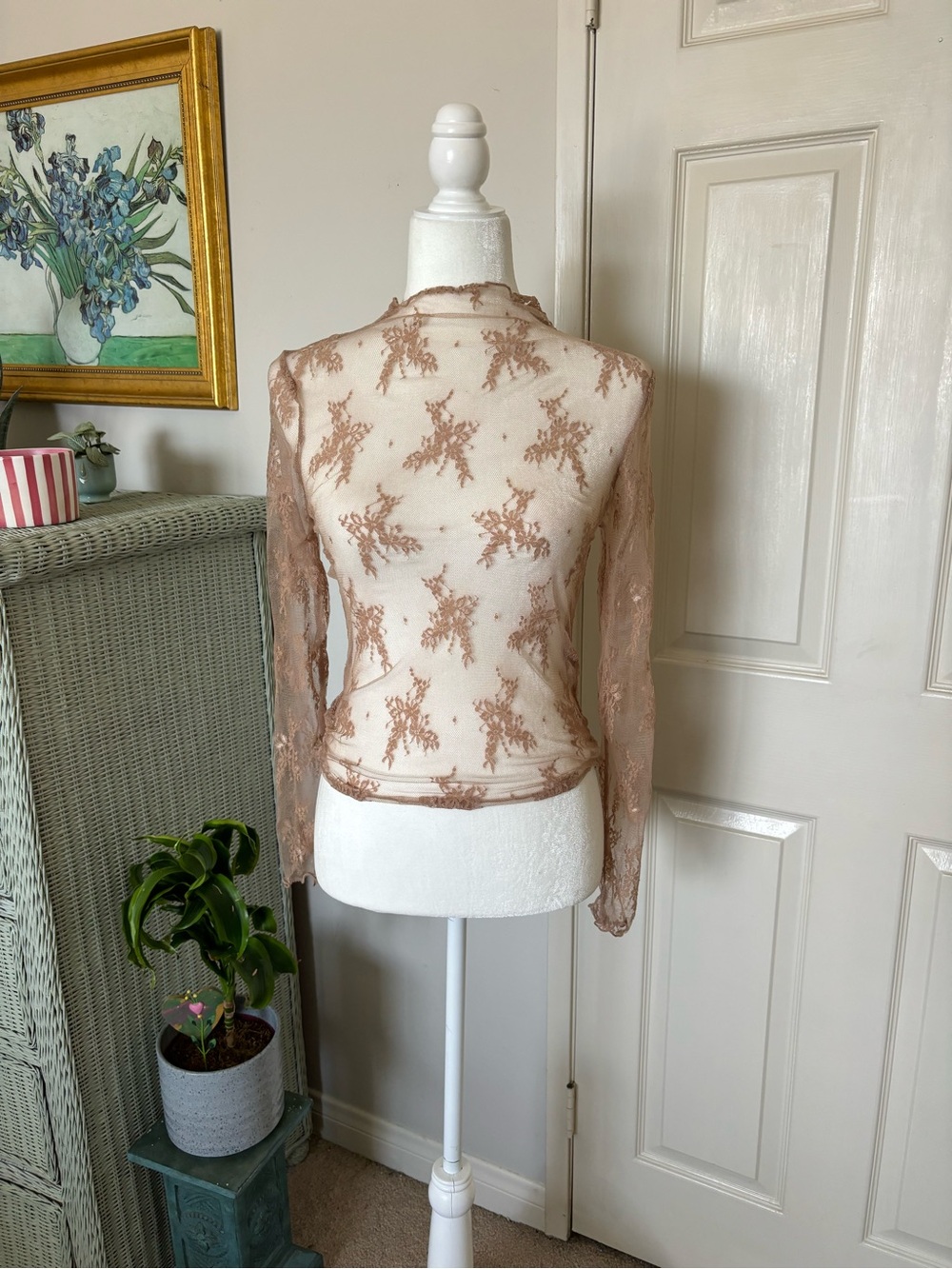 Sheer lace high neck Long-Sleeve Top in Taupe